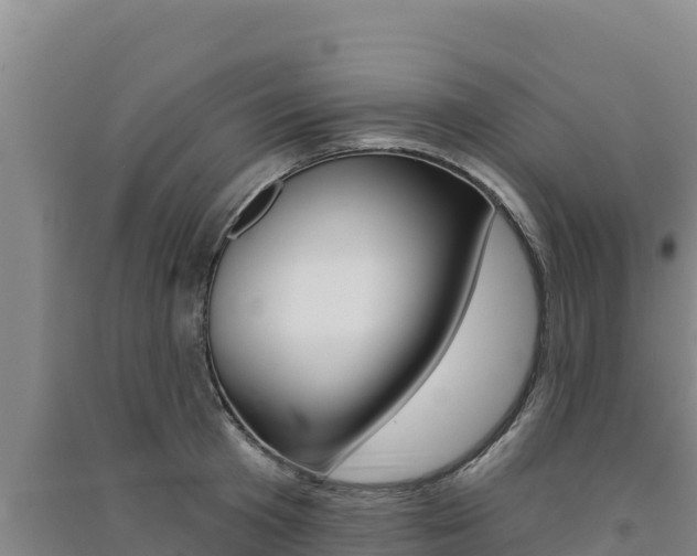 X0000091560801200708171100