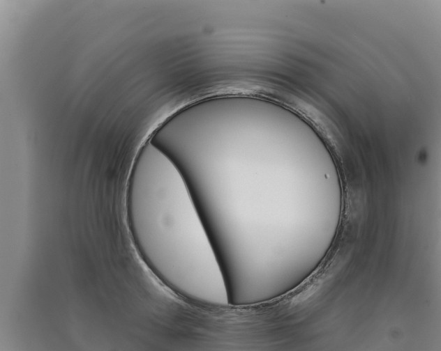 X0000091560802200708171100