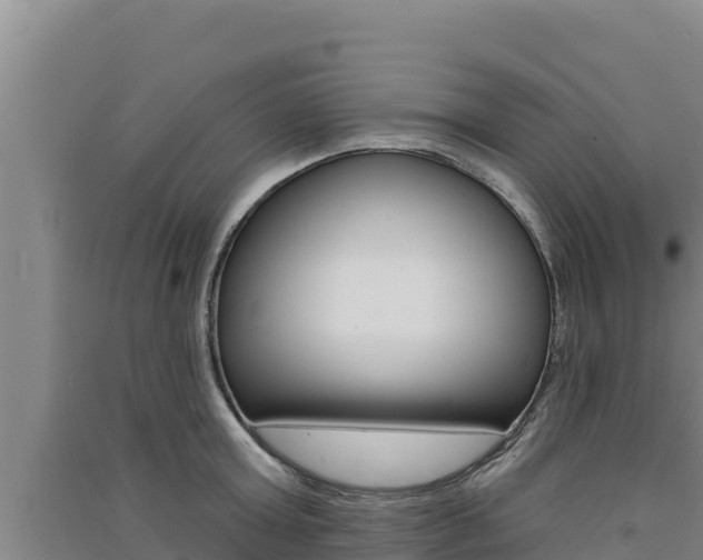 X0000091560803200708171100