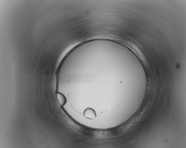 X0000091560804200708171100