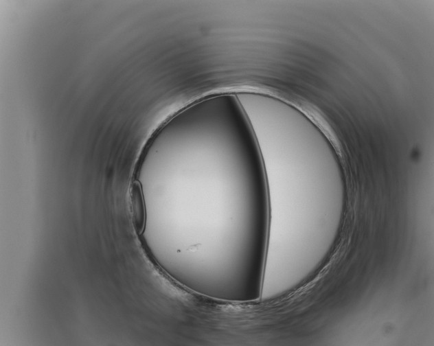 X0000091560805200708171100