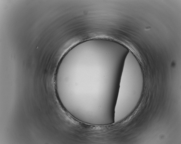 X0000091560806200708171100