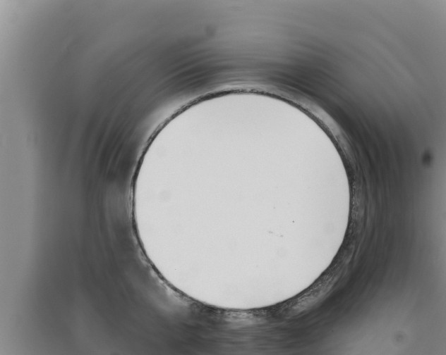 X0000091560807200708171100