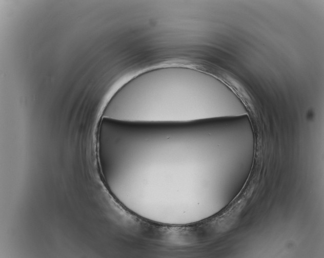 X0000091560808200708171100