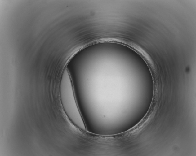 X0000091560809200708171100