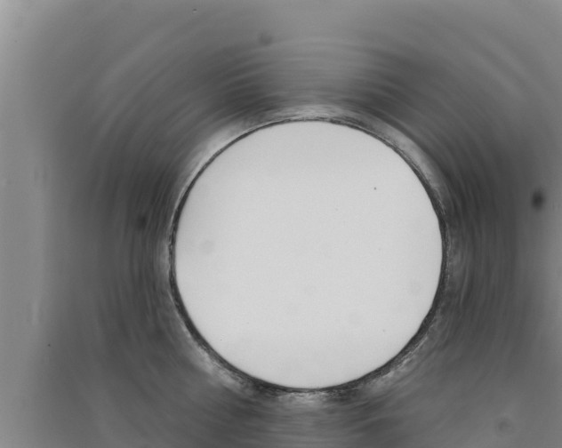 X0000091560810200708171100