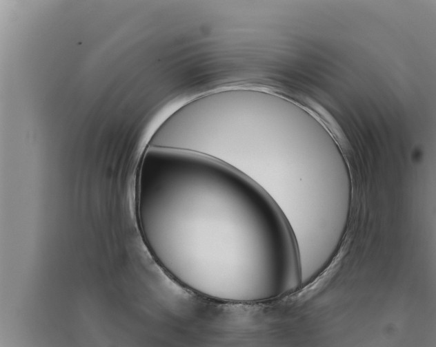 X0000091560812200708171100