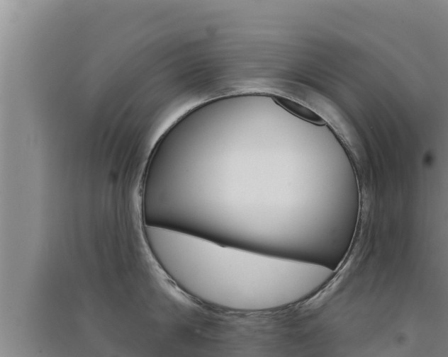 X0000091560814200708171100
