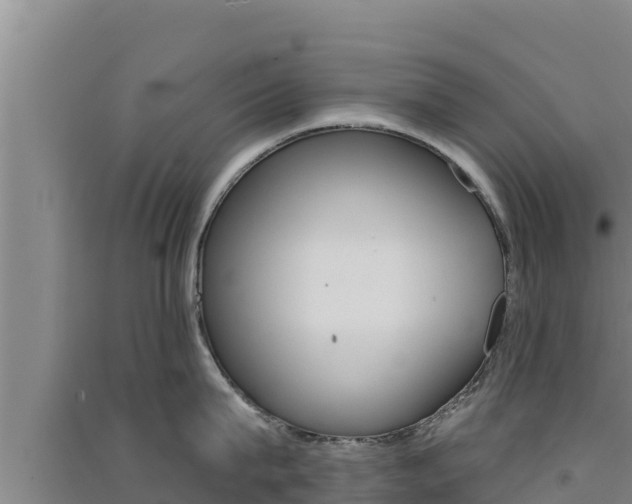 X0000091560815200708171100