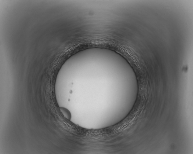 X0000091560817200708171059