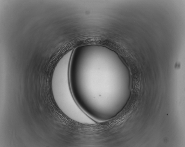 X0000091560818200708171059