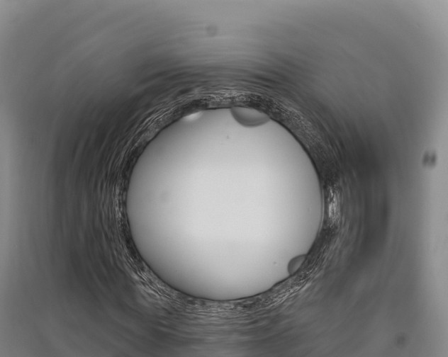 X0000091560819200708171059