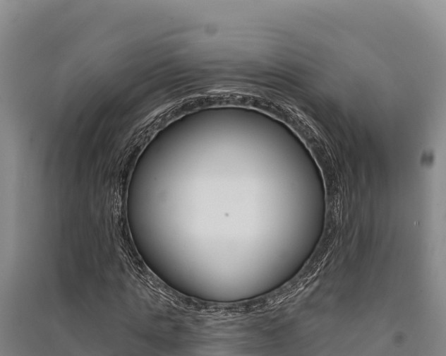 X0000091560821200708171059