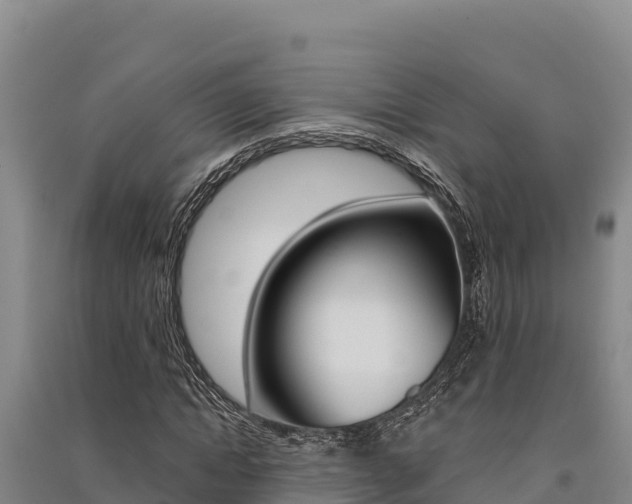 X0000091560822200708171059