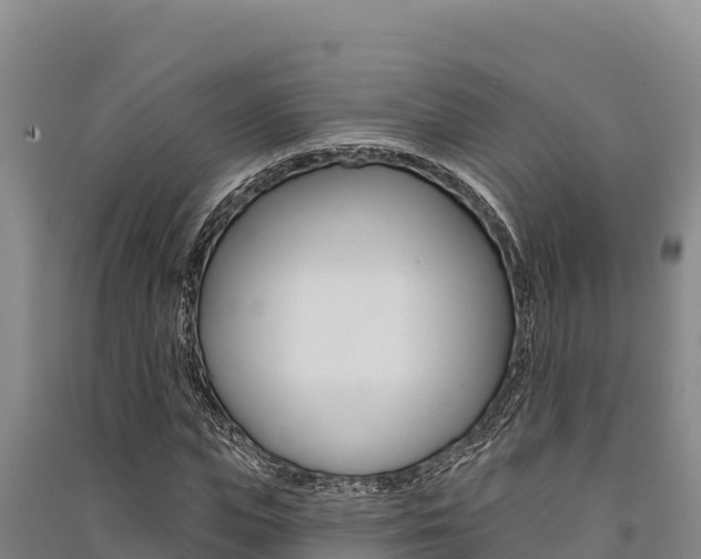 X0000091560823200708171059