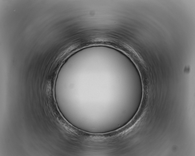 X0000091560825200708171059