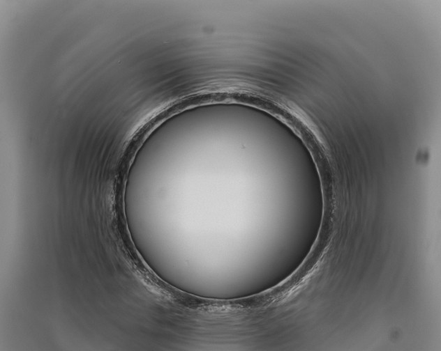 X0000091560826200708171059