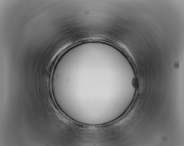 X0000091560827200708171059