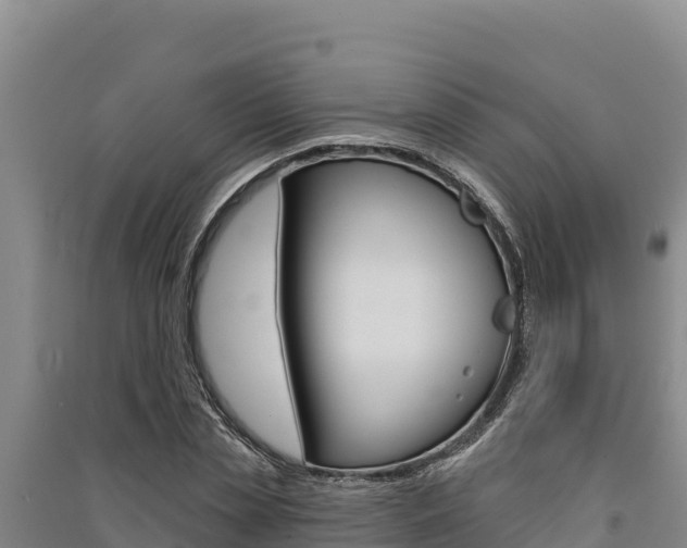 X0000091560829200708171059