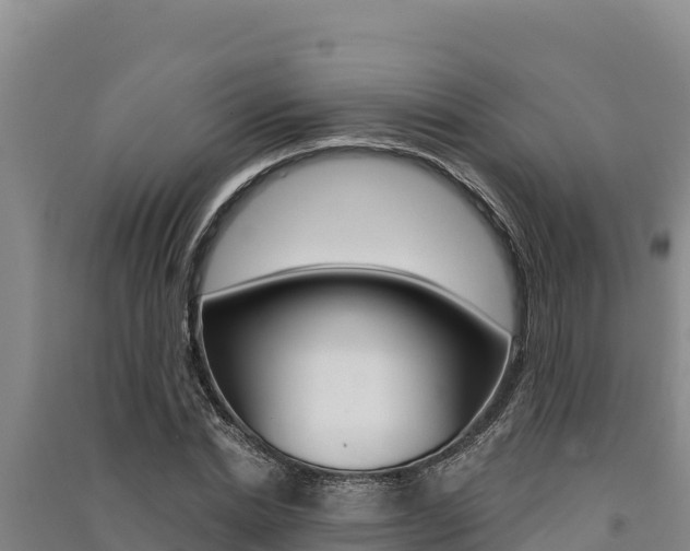 X0000091560830200708171059