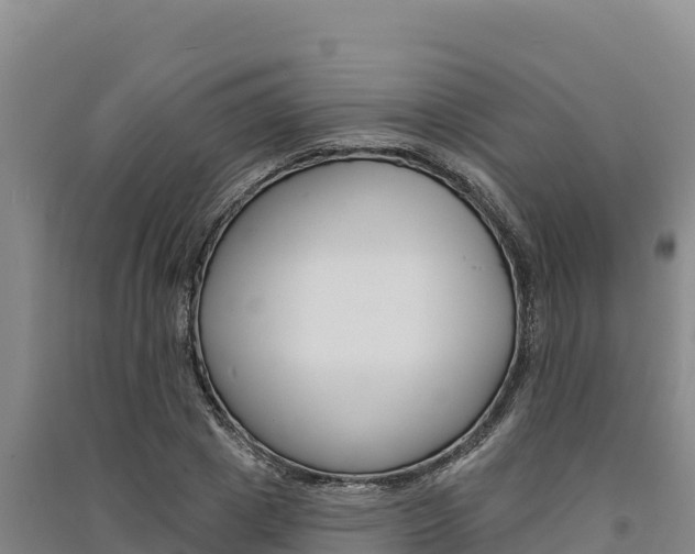 X0000091560833200708171059