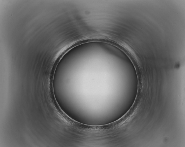 X0000091560834200708171059