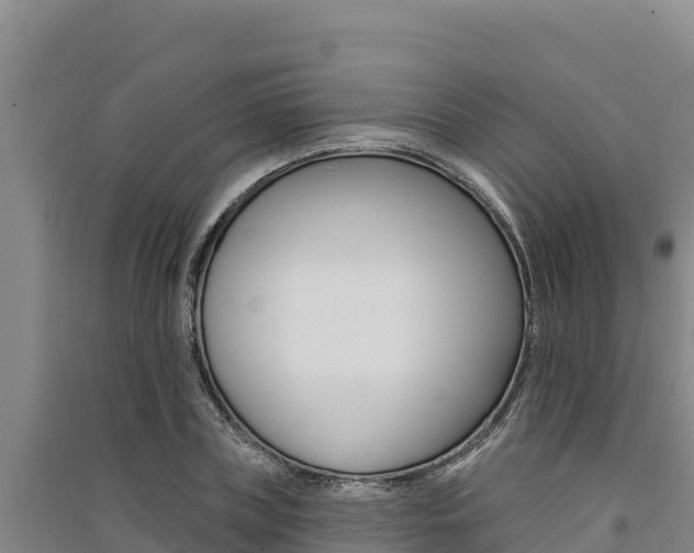 X0000091560835200708171059