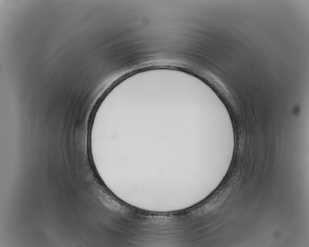 X0000091560836200708171059