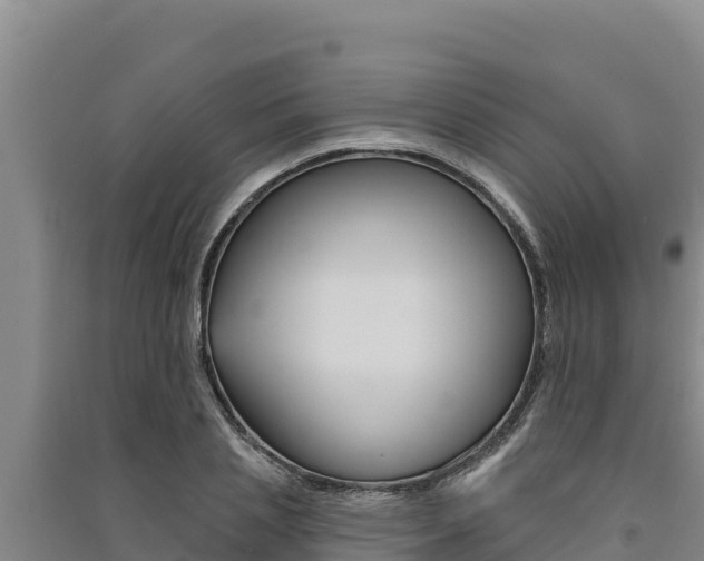 X0000091560837200708171059