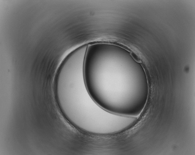 X0000091560838200708171100