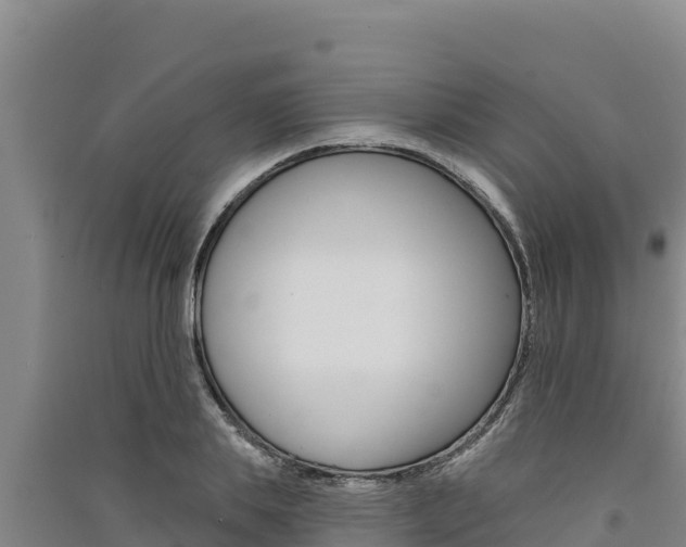 X0000091560839200708171100