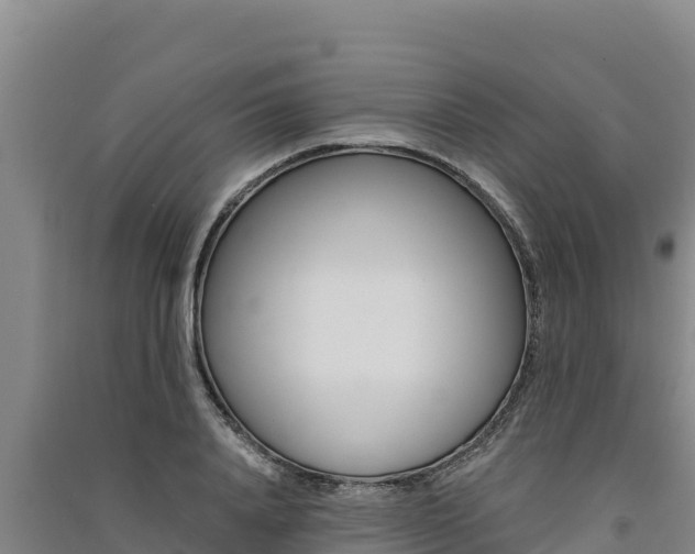 X0000091560840200708171100