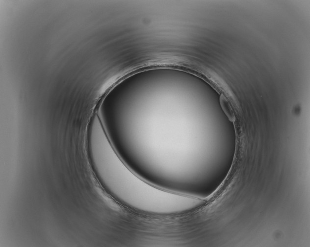 X0000091560842200708171100