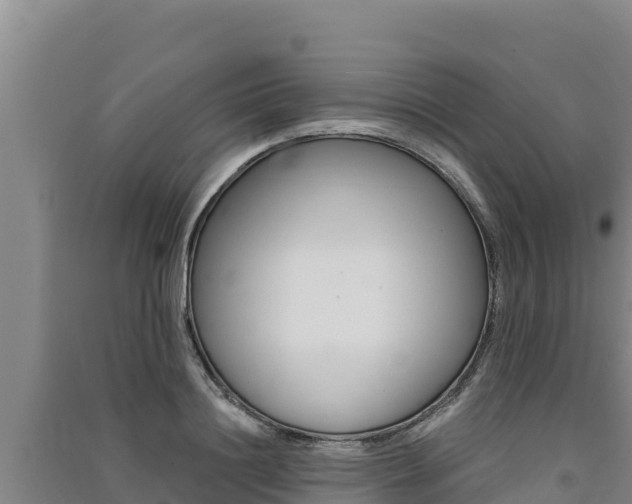 X0000091560844200708171100