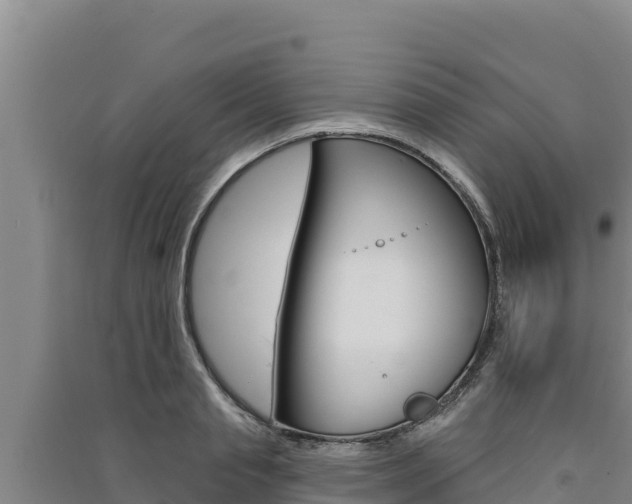 X0000091560845200708171100