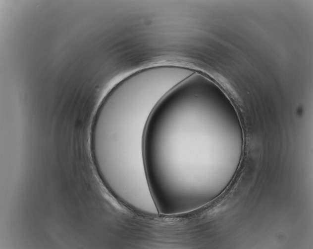 X0000091560846200708171100