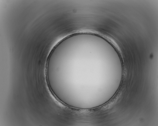 X0000091560847200708171100