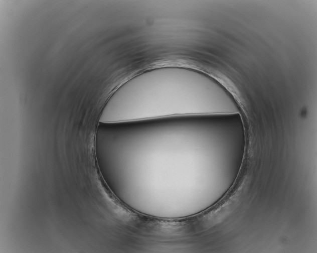 X0000091560849200708171100