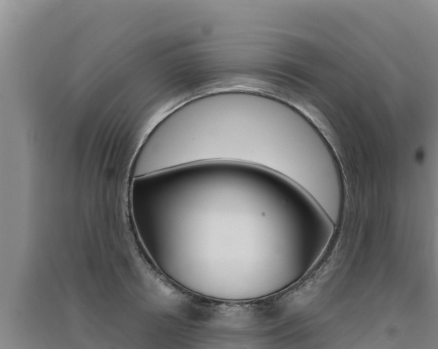 X0000091560850200708171100
