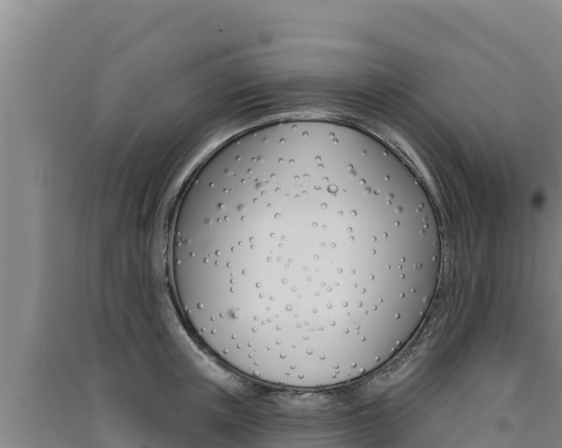 X0000091560851200708171100