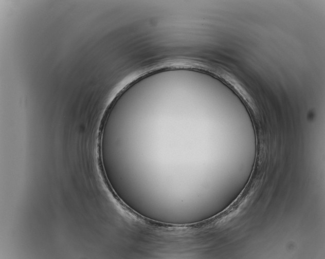X0000091560853200708171100