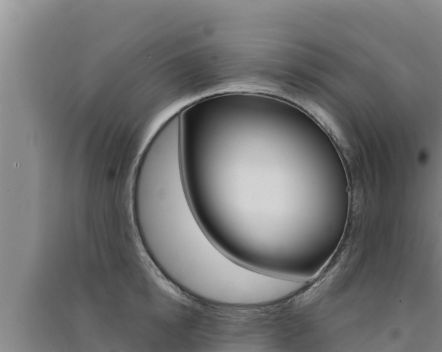 X0000091560854200708171100