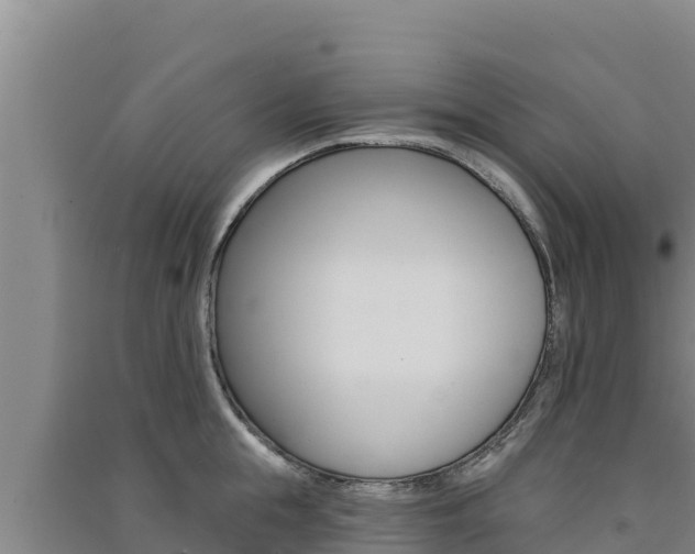 X0000091560855200708171100