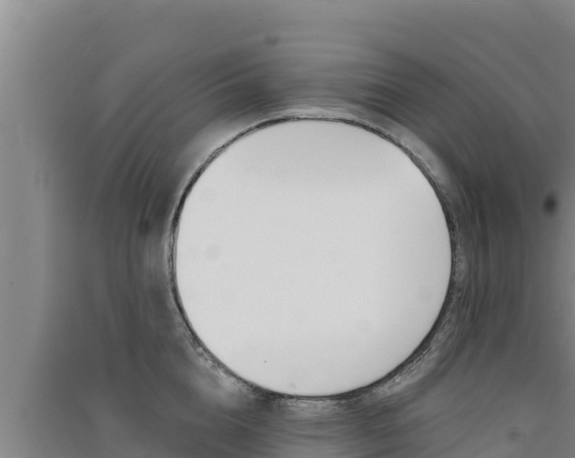 X0000091560856200708171100