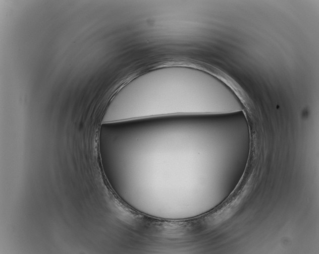 X0000091560857200708171100