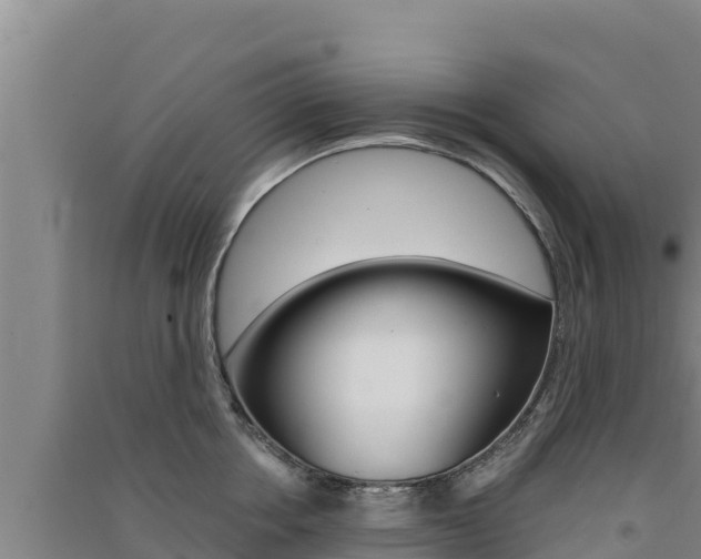 X0000091560858200708171100