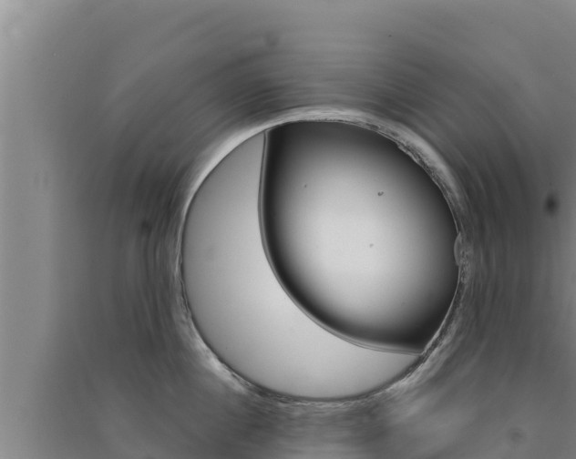 X0000091560860200708171100