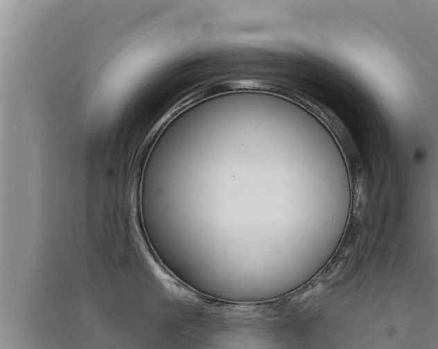 X0000091560861200708171100