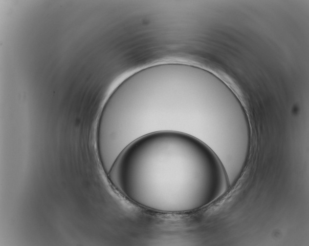 X0000091560862200708171100