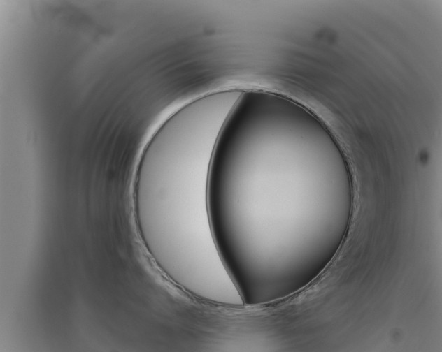 X0000091560864200708171100